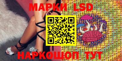 скорость Новокубанск