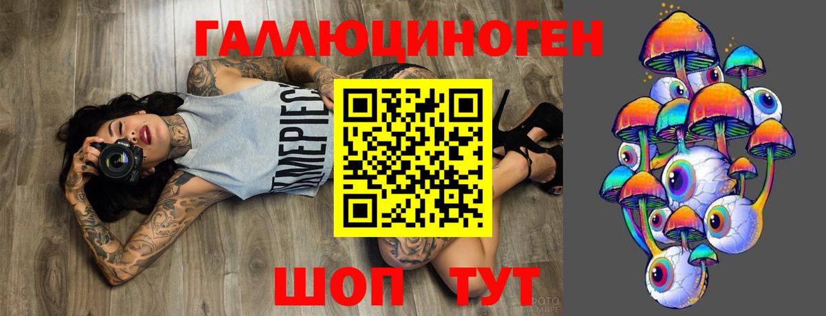 Сосновоборск  Галлюциногенные грибы мицелий  Вход с VPN 